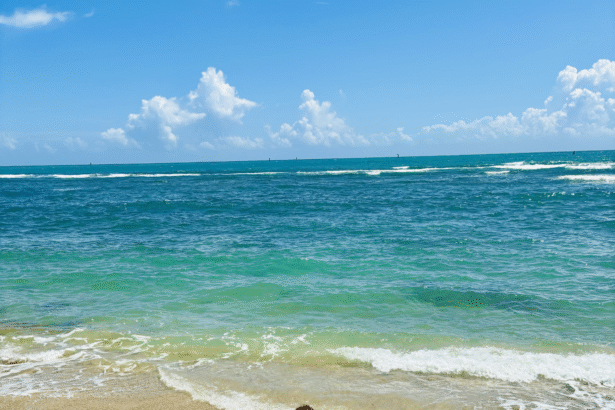 I am extremely lucky — personal story of success