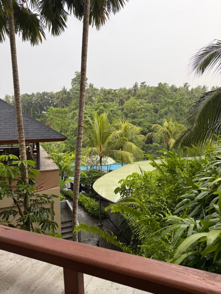 Lush jungle view from a balcony at a resort in Bali surrounded by tropical greenery
