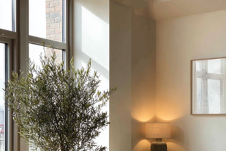 Indoor olive tree with a spotlight in a beautiful room.